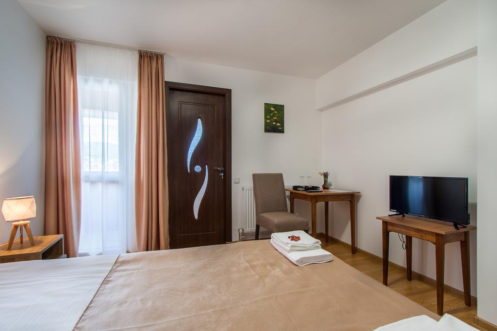 Hotel Casa Arbo à Călimăneşti Extérieur photo